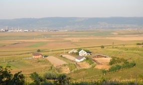 Fotografii din comună